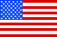USA Flag