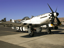Thunder Mustang