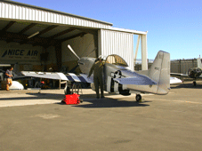 Thunder Mustang