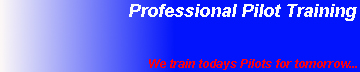 Professional Pilot Training